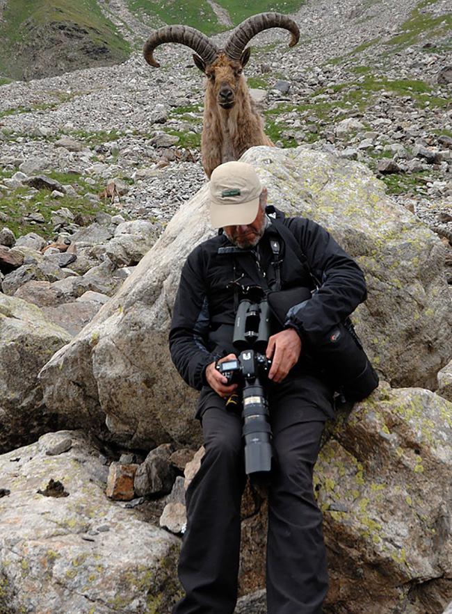 dong vat nghien "tu suong" khong he thua con nguoi hinh anh 4