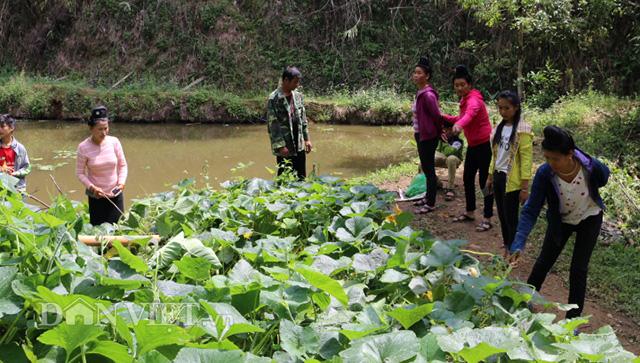 ngon bi ky la hinh “dau su tu” khien nguoi xem giat minh thang thot hinh anh 2