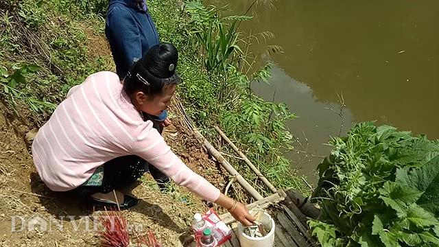 ngon bi ky la hinh “dau su tu” khien nguoi xem giat minh thang thot hinh anh 4