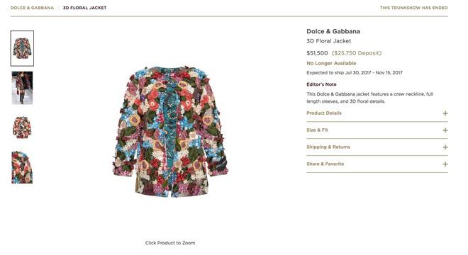 Đệ nhất phu nhân Mỹ mạnh tay sắm áo khoác có giá xấp xỉ cả một căn nhà - Ảnh 9.