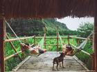 'Bắt sóng' ngay 3 homestay thiên nhiên xanh mát ở Ninh Bình để đi trốn mùa hè Hà Nội!