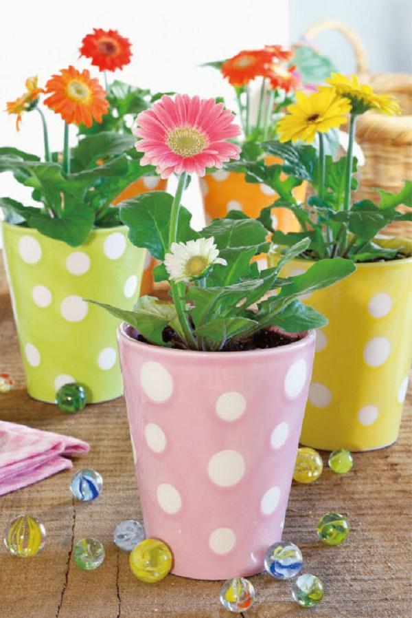 khong dat nhung loai cay canh loc bui, diet muoi nay trong nha thi dung la sai lam - 1