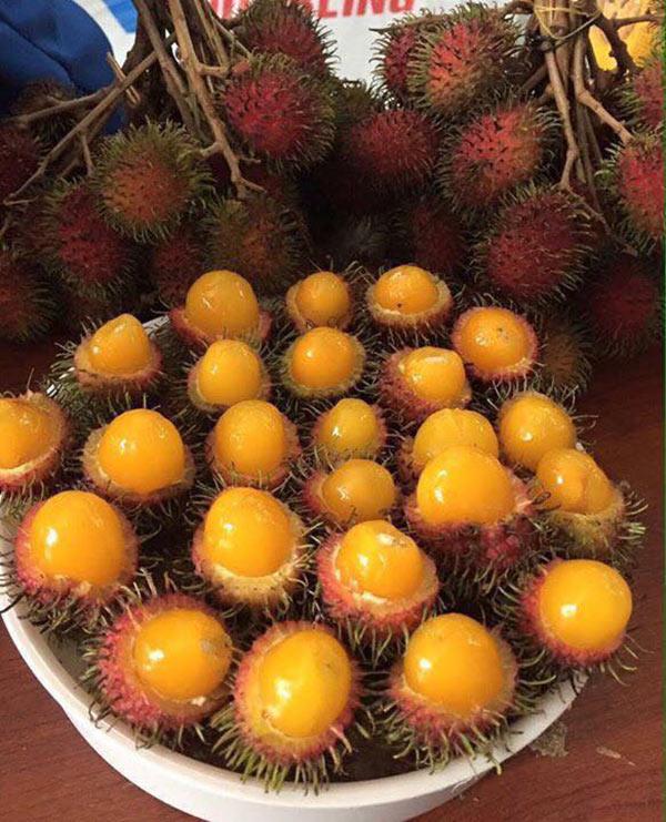 Quả chôm chôm ruột vàng như lòng đỏ trứng gà - Ảnh 3.