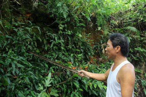 thuc hu ve ham mo bi an chua day vang tai ha nam - 2