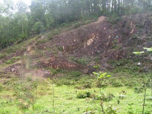 thuc hu ve ham mo bi an chua day vang tai ha nam - 1