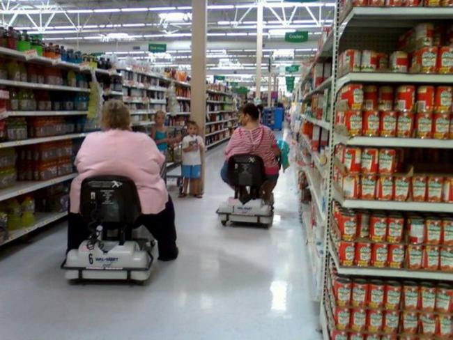 beo nhung khong ai... "kheo" bang dau nha! hinh anh 3