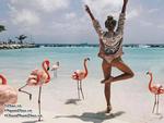 Tận hưởng kì nghỉ 'con nhà giàu' tại Aruba – hòn đảo hồng hạc đẹp nhất Caribbean