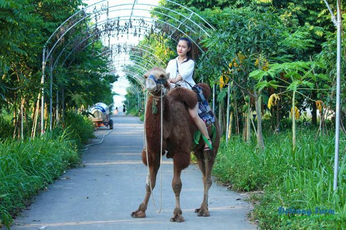 5-lua-chon-da-ngoai-vui-tha-ga-ngay-1-6-cho-gia-dinh-co-con-nho-6