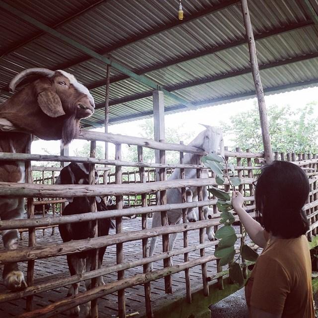 5-lua-chon-da-ngoai-ngoai-troi-ngay-1-6-cho-gia-dinh-co-con-nho-2