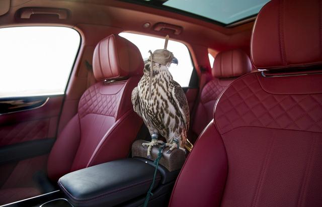 Nhà giàu Trung Đông mua hẳn Bentley Bentayga phiên bản giới hạn phục vụ thú... chơi chim - Ảnh 7.