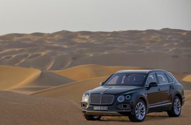Nhà giàu Trung Đông mua hẳn Bentley Bentayga phiên bản giới hạn phục vụ thú... chơi chim - Ảnh 4.