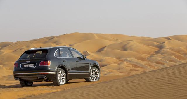 Nhà giàu Trung Đông mua hẳn Bentley Bentayga phiên bản giới hạn phục vụ thú... chơi chim - Ảnh 14.