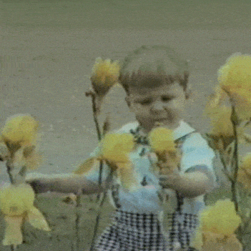 anh dong: nhung pha tai nan