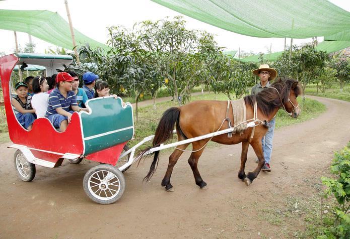 diem da ngoai gan ha noi ngay tet thieu nhi cho gia dinh co con nho hinh anh 5