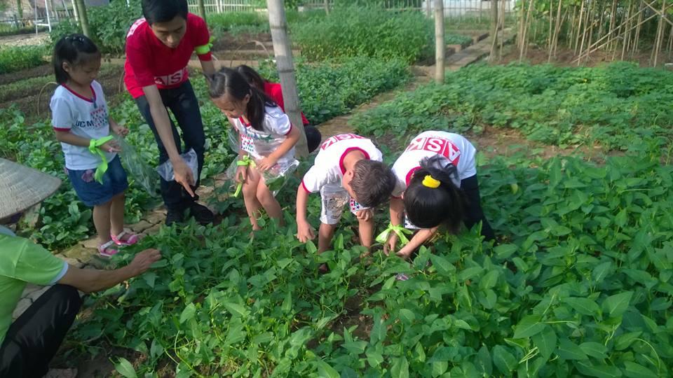 diem da ngoai gan ha noi ngay tet thieu nhi cho gia dinh co con nho hinh anh 6