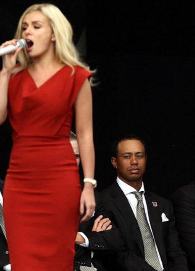 khoanh khac "ban nang troi day" cua cac quy ong hinh anh 7