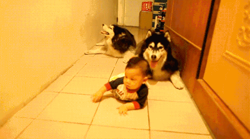 anh dong: khong the nhin cuoi khi bon tre con... meu hinh anh 8