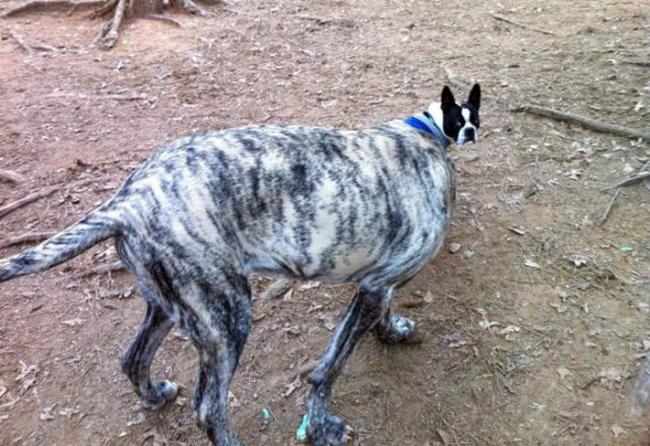 anh nay, phai "soi" cho ky khong lai "be cai nham" hinh anh 9