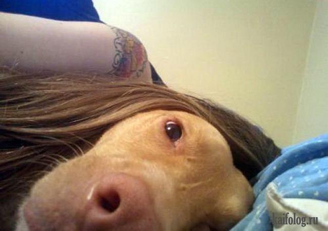 anh nay, phai "soi" cho ky khong lai "be cai nham" hinh anh 12