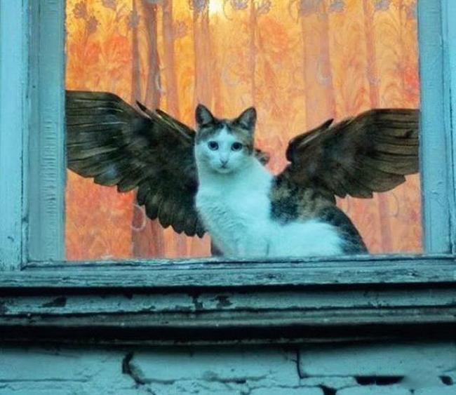 anh nay, phai "soi" cho ky khong lai "be cai nham" hinh anh 15