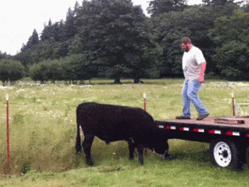 Clip hài: Nghịch dại để rồi hại... bản thân