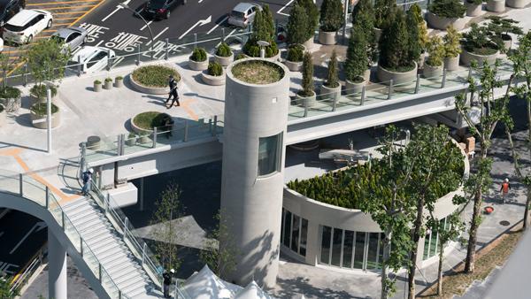 ngo ngang cao toc gan 50 tuoi bien hinh thanh “ngoi lang xanh” - 1