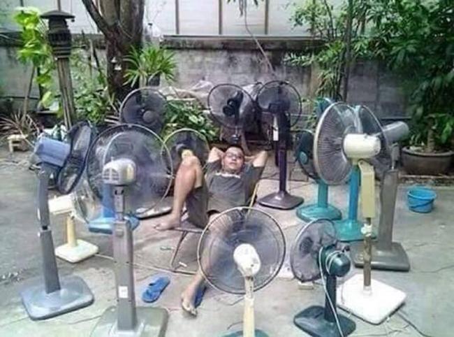 phat sot voi chieu chong nong kieu "con nha ngheo" hinh anh 2