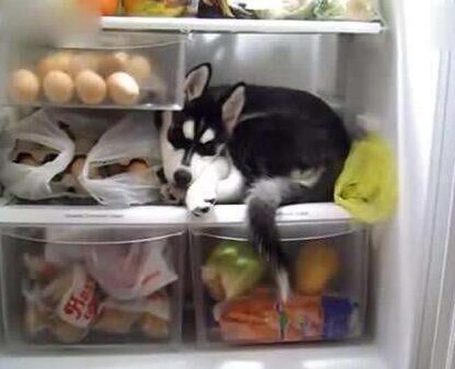 phat sot voi chieu chong nong kieu "con nha ngheo" hinh anh 4