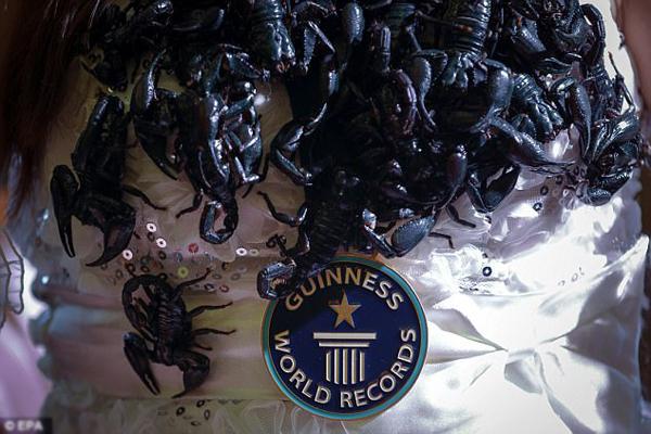 nguoi-phu-nu-de-bo-cap-bo-lon-nhon-khap-mat-lap-ky-luc-guiness-5