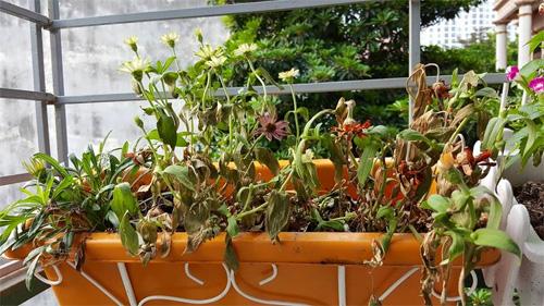 điềm báo cảnh tỉnh bạn sắp gặp xũi xẻo-1