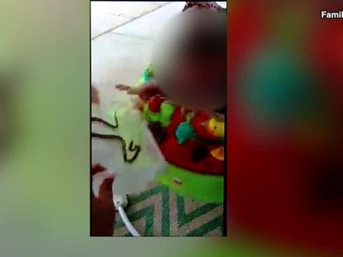 Bà mẹ Mỹ cho rắn cắn con một tuổi để dạy 'bài học'