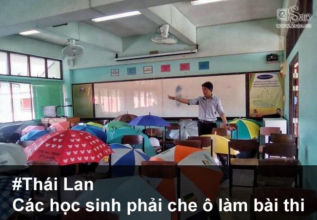 nhung-man-chong-gian-lan-thi-cu-quot-ba-dao-tren-tung-hat-gao3