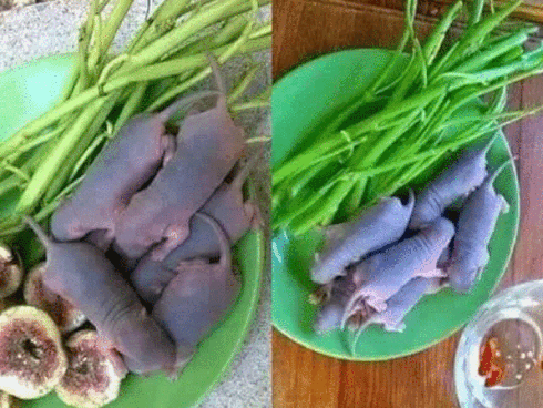 Khóc thét với những đặc sản kinh dị nhất thế giới-11