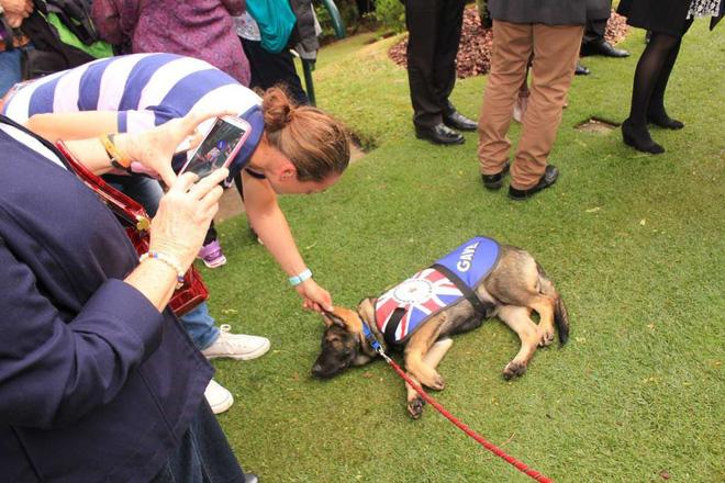 Chú chó cảnh sát bị sa thải vì một lý do vô cùng đáng yêu - Ảnh 3.