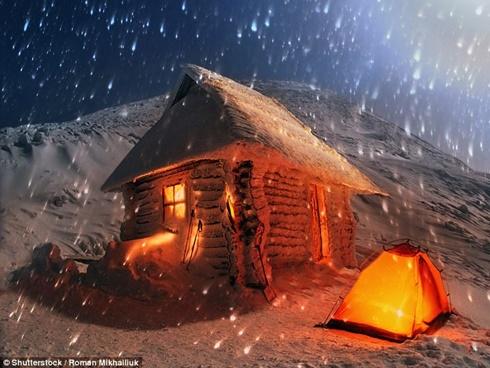 Cắm trại trên những ngọn cây-1