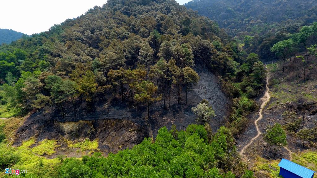 Khoảng 13h30 phút ngày 5/6, một vụ cháy rừng xảy ra tại địa bàn xã Nam Sơn (Sóc Sơn, Hà Nội).  với sự nỗ lực của gần 2.000 cán bộ chiến sỹ kết hợp với các lực lượng chuyên môn, nhân dân…, đám cháy rừng về cơ bản đã được kiểm soát gần như hoàn toàn sau 12 giờ đồng hồ. Nguyên nhân ban đầu của vụ việc là do nắng nóng.