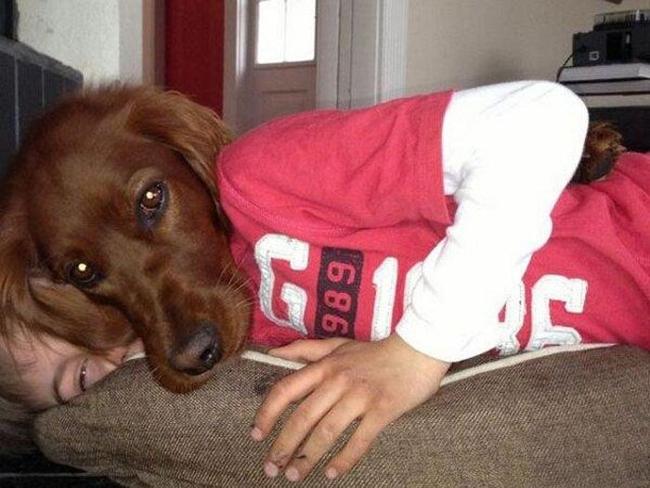 bo-ngo-voi-loat-anh-tinh-co-day-bat-ngo8