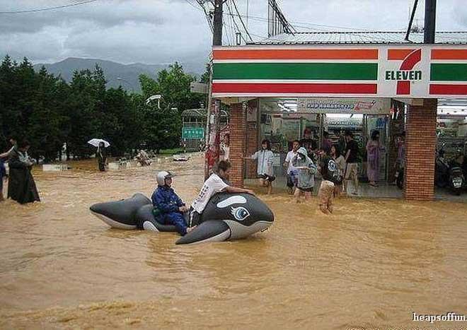 mua-to-ngap-ngum-ngum-the-nay-thi-ra-duong-kieu-gie3