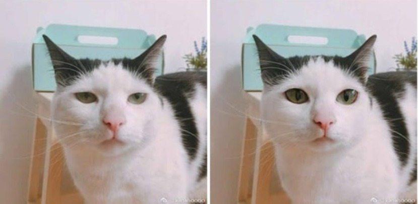 Đây là lý do không thể tin được gái xinh trên mạng xã hội