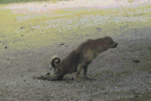 anh-dong-cu-phai-khien-nguoi-khac-hu-hon5