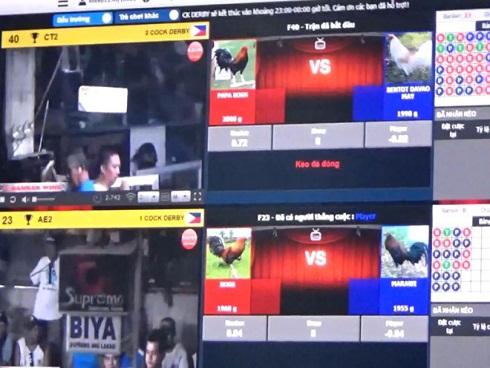 Hàng chục người tháo chạy khi cảnh sát ập vào sới bạc