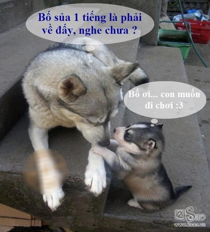 dong-vat-biet-noi-chuyen6