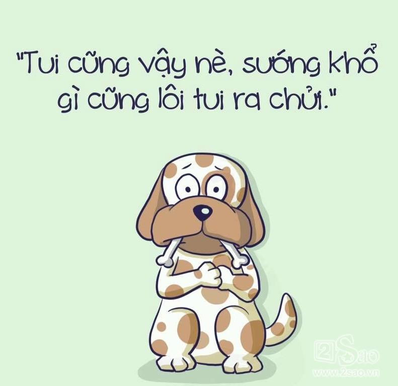 Khi-dong-vat-khong-lam-gi-van-bi-loi-ra4