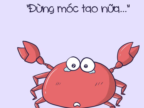 Khi động vật lên tiếng: 'Đừng có chuyện gì cũng lôi chúng tôi ra'