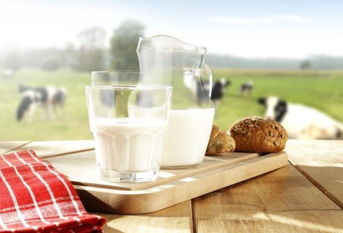Sức khỏe: 5 lý do tại sao bạn nên uống sữa bò-ảnh 2