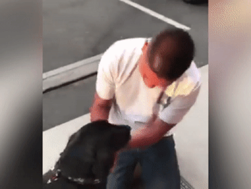 Xúc động khoảnh khắc chú chó mù gặp lại chủ nhân sau 6 năm xa cách