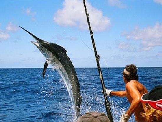 Clip hài: Tai nạn 'siêu thốn' trên bãi biển