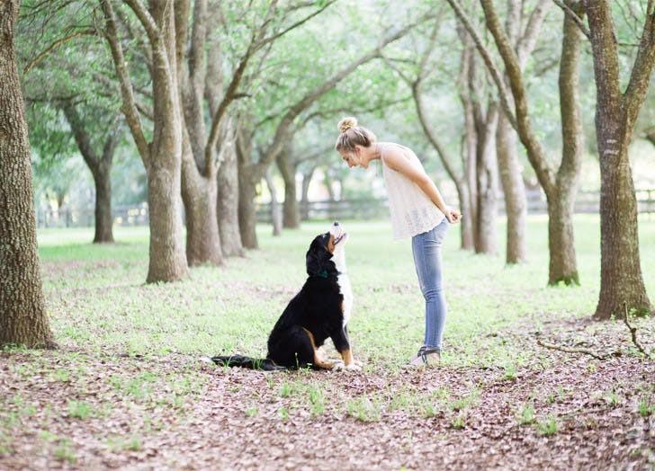 Muốn có sức khỏe tốt, bạn nên nuôi một chú chó