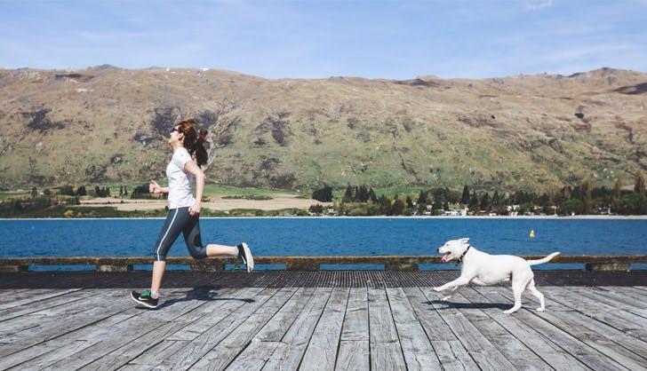 Muốn có sức khỏe tốt, bạn nên nuôi một chú chó