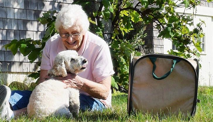 Muốn có sức khỏe tốt, bạn nên nuôi một chú chó